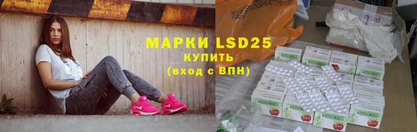 мдпв Михайлов