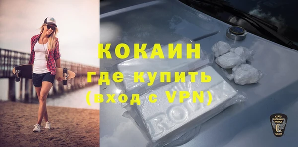 мдпв Михайлов