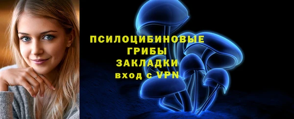 мдпв Михайлов