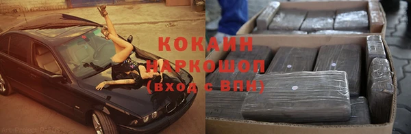 мдпв Михайлов
