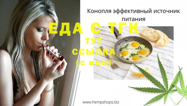 СК Алзамай