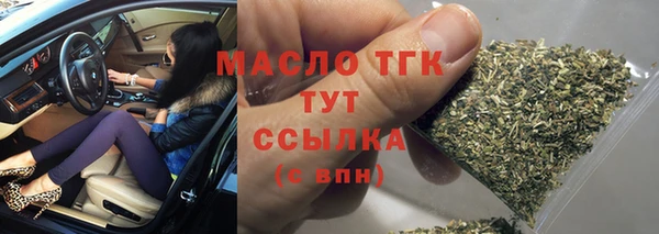 мдпв Михайлов