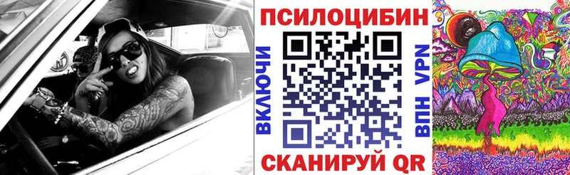 kraken онион  Егорьевск  Галлюциногенные грибы Cubensis 