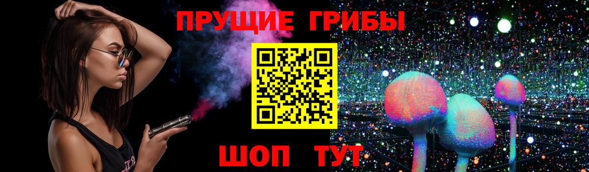 Галлюциногенные грибы MAGIC MUSHROOMS  Вход с VPN  Егорьевск 