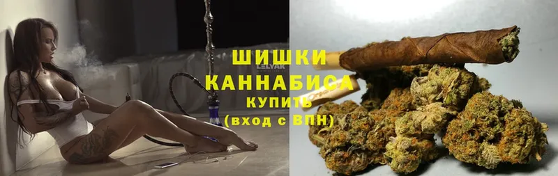 Бошки Шишки LSD WEED  магазин  наркотиков  Егорьевск 